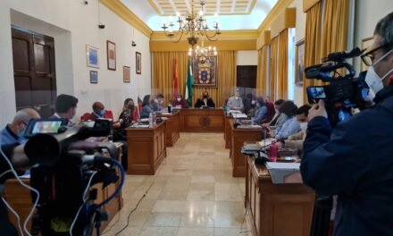El Ayuntamiento le exige a la Junta por unanimidad un plan de empleo para Valverde del Camino