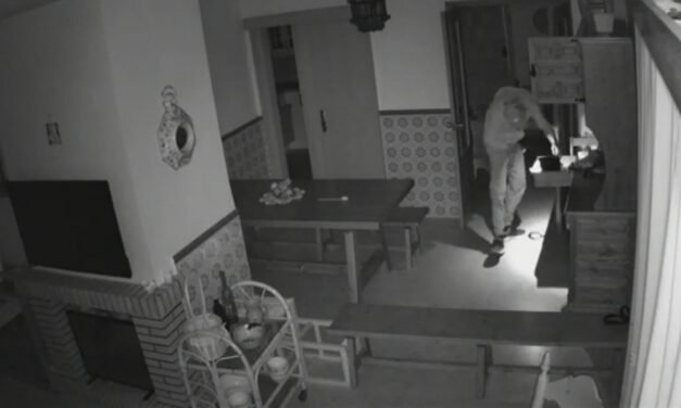 Detenido un ladrón cuando robaba en el interior de una casa de Almonte