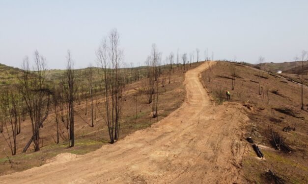 Diputación lleva a cabo labores de restauración en una finca de El Campillo tras el incendio de Almonaster