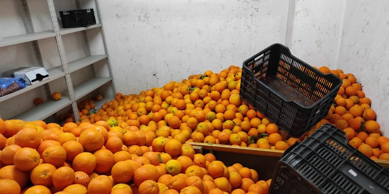 La Policía Local halla 3,5 toneladas de naranjas peligrosas para el consumo en El Torrejón