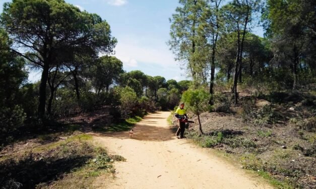 Comienzan los trabajos de rehabilitación de la Vía Verde de Riotinto