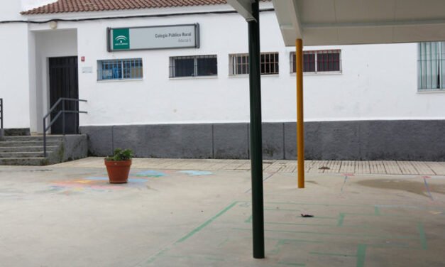Preocupación en Campofrío por la irrupción de personas en el Colegio Adersa VI