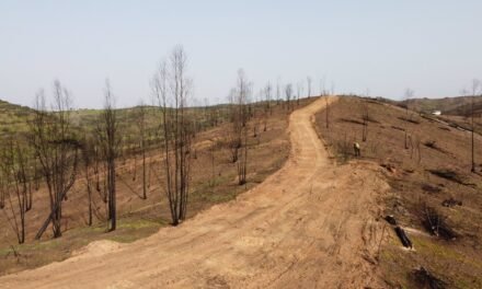 El Campillo y Zalamea se beneficiarán de las medidas socioeconómicas de Diputación por el incendio de Almonaster