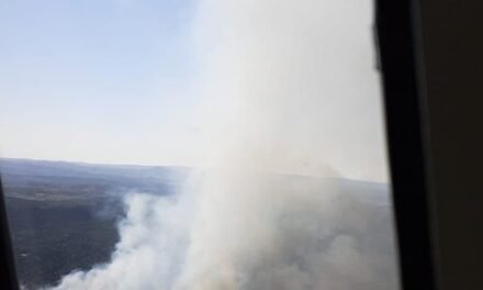 El Infoca controla un incendio forestal en Calañas