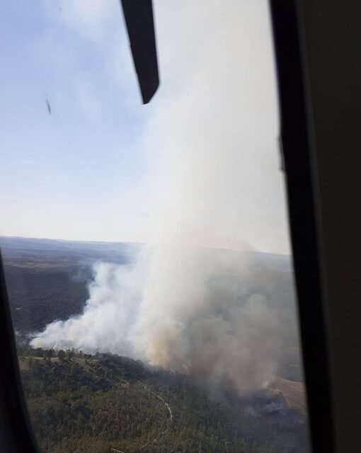 El Infoca controla un incendio forestal en Calañas