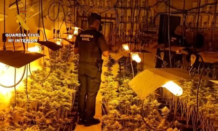 Hallan casi 400 plantas de marihuana en el interior de una vivienda de Almonte
