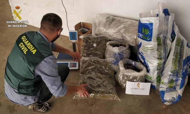 Detienen a tres personas por cultivo de marihuana en Gibraleón
