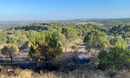 Declarado un incendio forestal en El Campillo