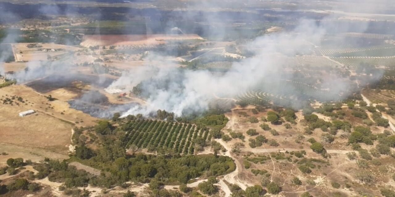 Un incendio forestal se abre paso en San Bartolomé