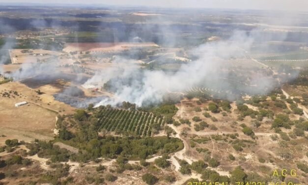 Extinguido el incendio de San Bartolomé que afectó a 12,5 hectáreas
