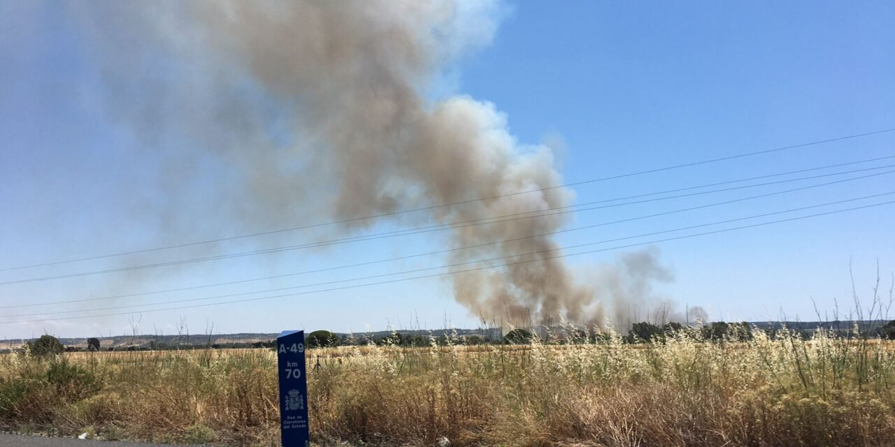 Controlado un incendio en San Juan con el trabajo de 18 bomberos