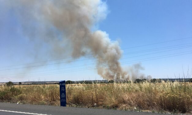 Controlado un incendio en San Juan con el trabajo de 18 bomberos