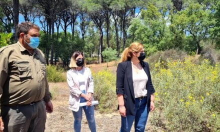 La Junta firma con Valverde el convenio forestal y ya “no hay excusas para hacer trabajos preventivos en Los Pinos”