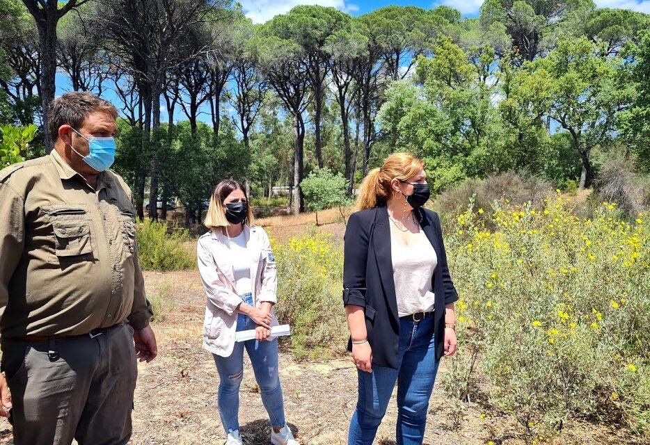 La Junta firma con Valverde el convenio forestal y ya “no hay excusas para hacer trabajos preventivos en Los Pinos”