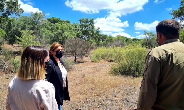 Valverde hará cortafuegos en Los Pinos con fondos propios ante la «dejadez» de la Junta