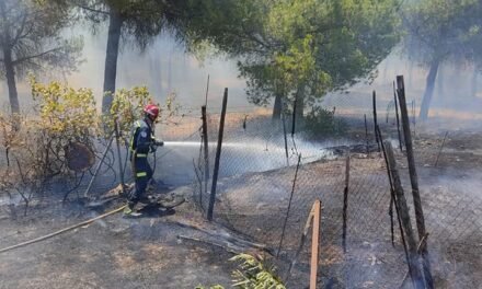 Bomberos extinguen un incendio a apenas un kilómetro del casco urbano de Villablanca