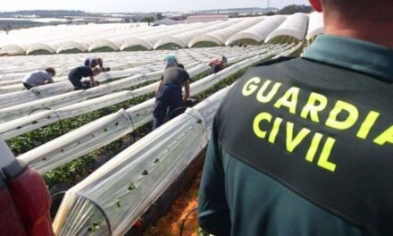 La Guardia Civil detecta casi un 10% de trabajadores irregulares en los campos inspeccionados