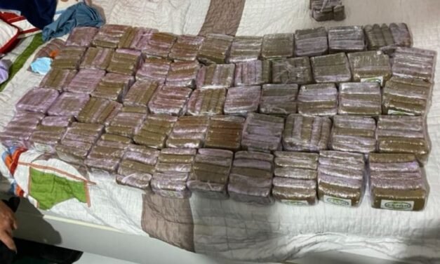 Un riña familiar alerta a la policía que descubre 279 placas de hachís en un domicilio de Ayamonte