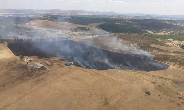 Declarado un incendio forestal en Zalamea