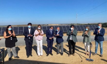 La primera planta fotovoltaica de la capital ya genera energía para 28.000 hogares