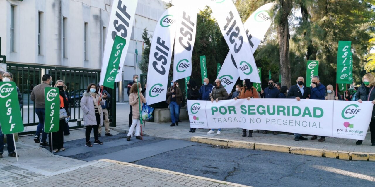 Alertan de un posible «colapso administrativo» en la Delegación de Igualdad