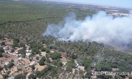 Los bomberos luchan contra cuatro incendios en Huelva