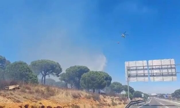 Un incendio obliga a cortar la A-497 en Aljaraque por varias horas