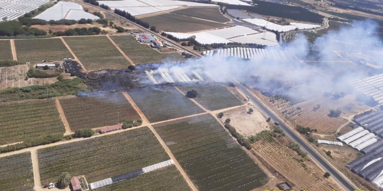 El Infoca extingue en tres horas un incendio en Cartaya