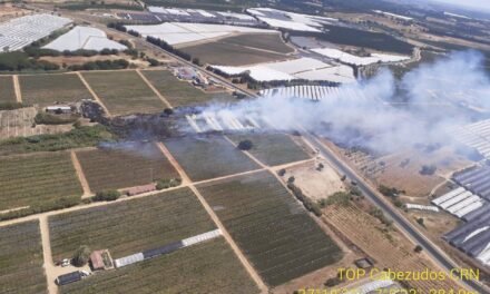 El Infoca extingue en tres horas un incendio en Cartaya