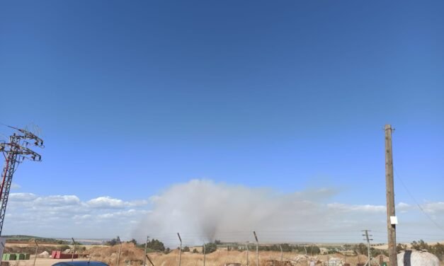 Un nuevo incendio se ceba ahora con la ribera del río Tinto en Niebla