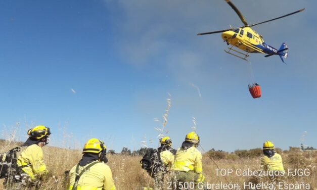 Declarado un incendio forestal en Gibraleón