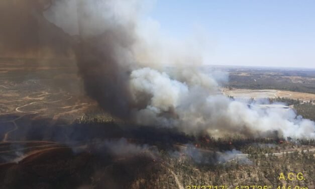 El Infoca lucha contra un grave incendio en Villarrasa