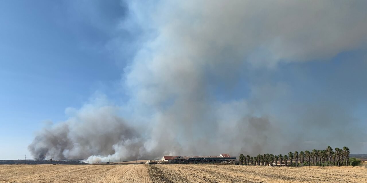 Estabilizado el incendio forestal de Villarrasa tras calcinar 600 hectáreas