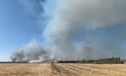 Estabilizado el incendio forestal de Villarrasa tras calcinar 600 hectáreas