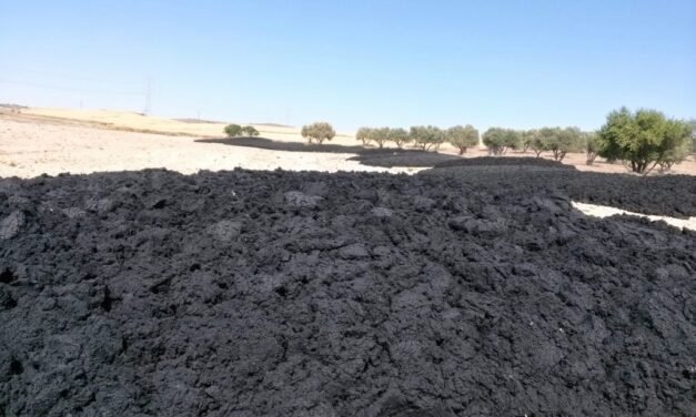 La Junta obligará a tratar los lodos de depuradora para su aprovechamiento como suelos y abonos