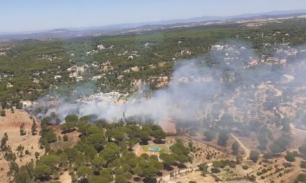 Más de 50 bomberos luchan contra un incendio forestal en Valverde