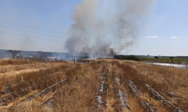 Declarado un nuevo incendio forestal en Almonte