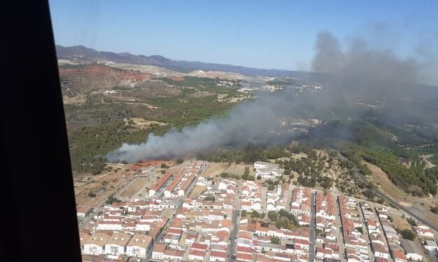 Declarado un incendio junto al Parque de los Cipreses de El Campillo