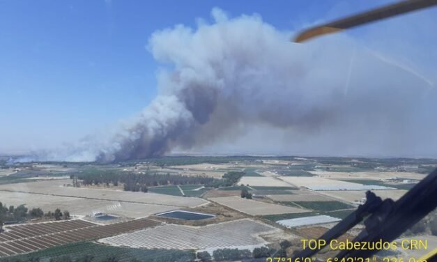 Declarado un nuevo incendio forestal en Lucena