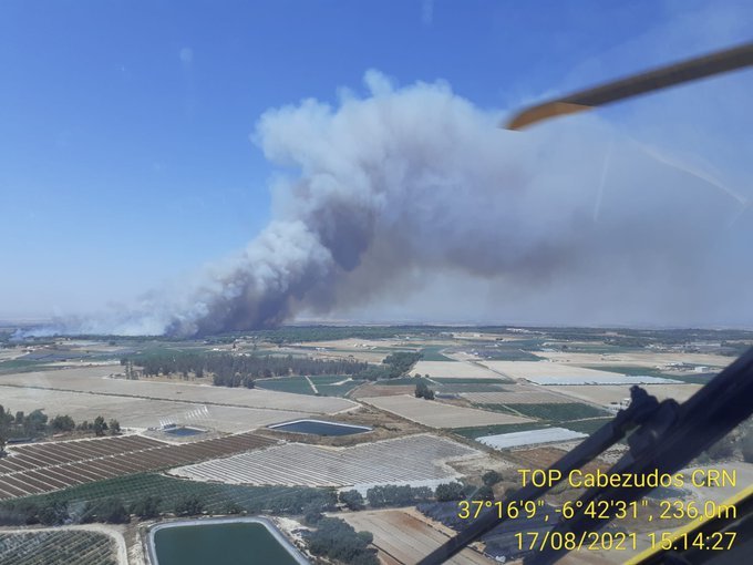 Declarado un nuevo incendio forestal en Lucena