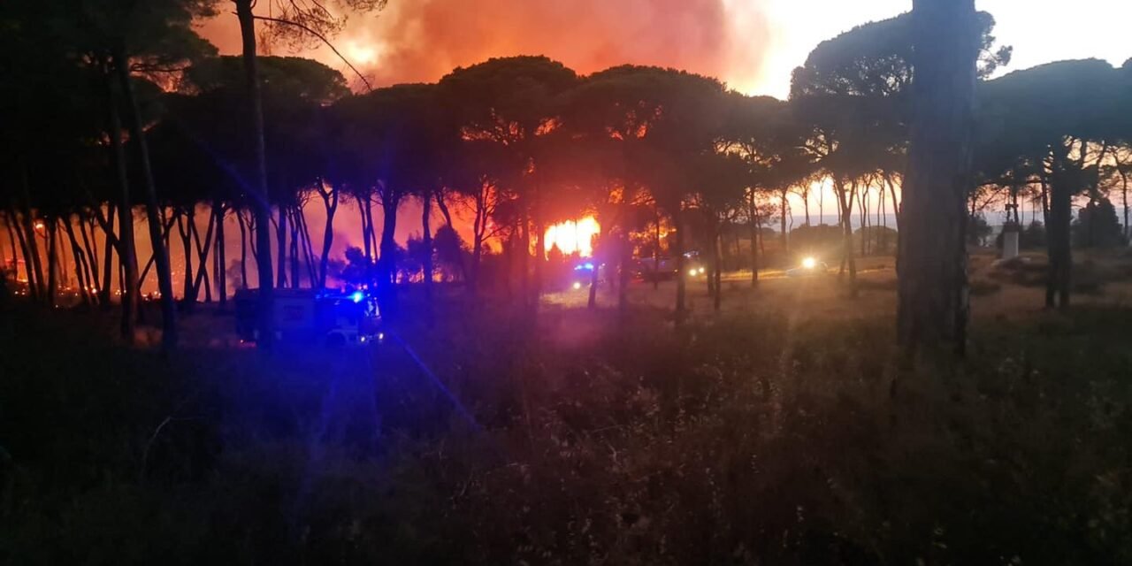 Activado el nivel 1 de alerta por el incendio de Bonares donde desalojan a 20 personas
