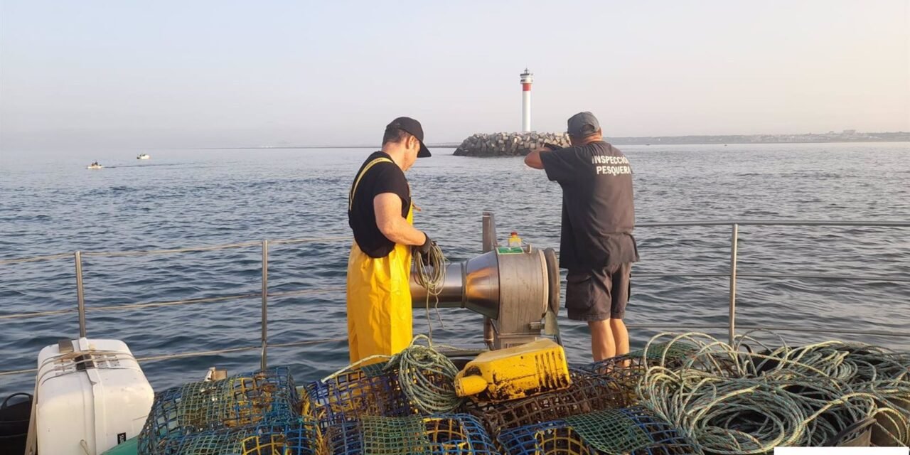 Retiran más de 250 trampas ilegales para capturar pulpos frente a Huelva