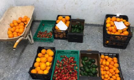 La policía local de Huelva se incauta de más de 12 toneladas de comida ilegal