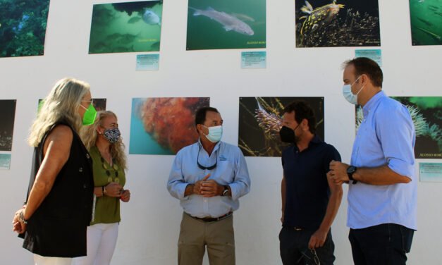 El Rompido acoge la exposición permanente ‘Vida Submarina en El Piedras’