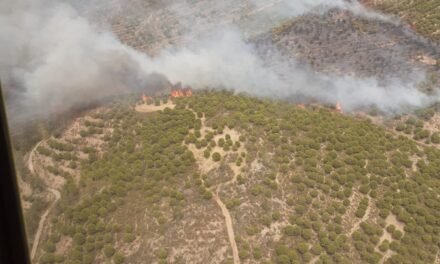 Dos incendios en El Granado y Cabezas Rubias ponen en jaque al Infoca en Huelva