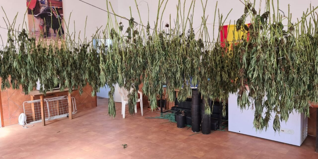 Denuncian irregularidades en el transporte y depósito de marihuana intervenida en Huelva