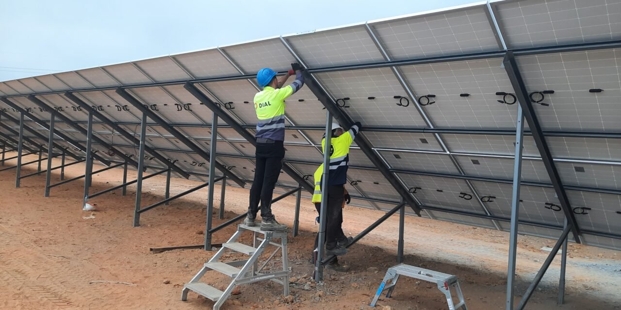 Las obras de la nueva planta fotovoltaica de la CR Palos avanzan a buen ritmo