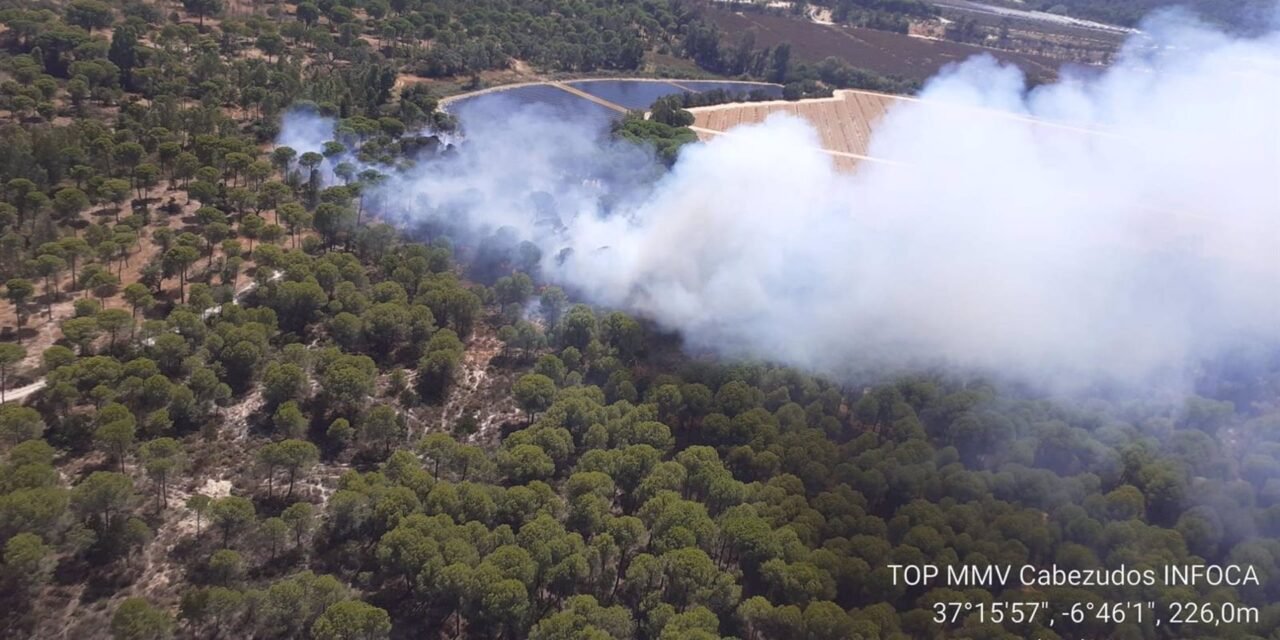 Extinguidos los incendio de Moguer y Aracena que se declararon el domingo
