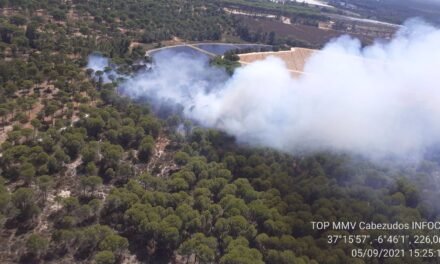 Declarado un incendio en un paraje forestal de Moguer que moviliza tres medios aéreos