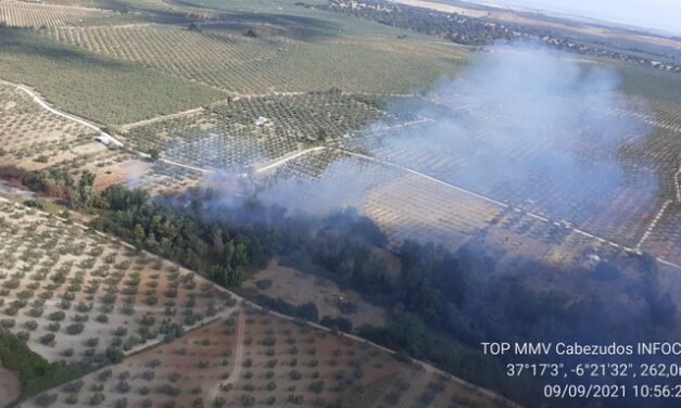 Bomberos luchan contra el fuego en Hinojos